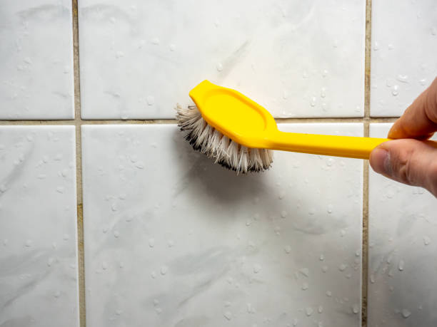 Best Mold Testing  in Sandusky, OH