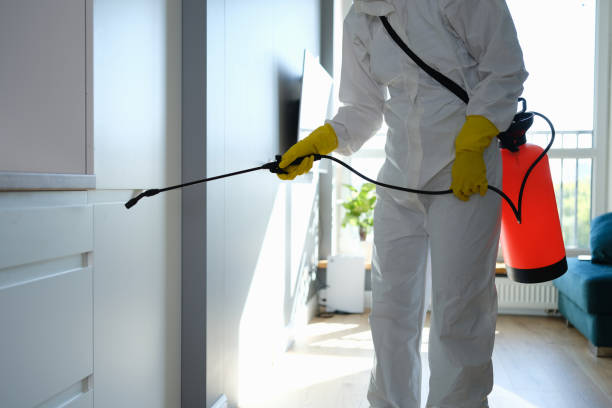 Best Local Mold Removal Service  in Sandusky, OH