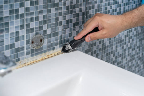 Best Mold Cleaning Services  in Sandusky, OH